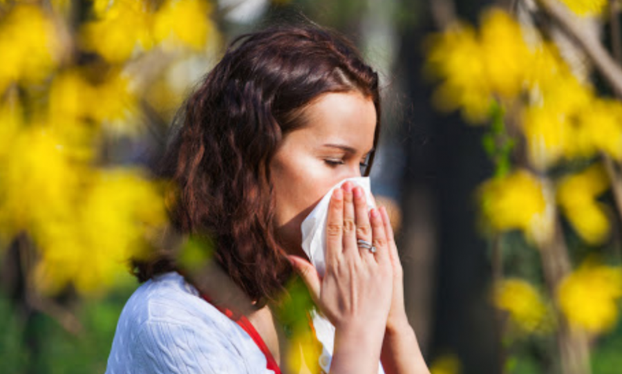 Këshilla se si të shpëtoni nga alergjitë e stinës