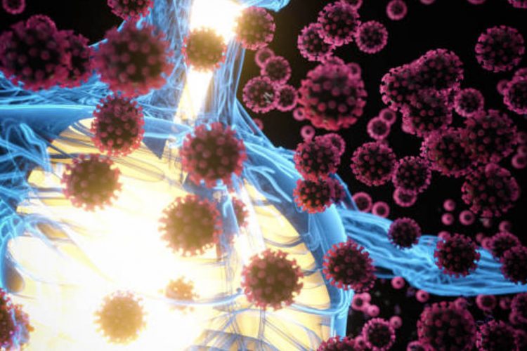 A Fiton Trupi Imunitet Pas Shërimit nga Koronavirus