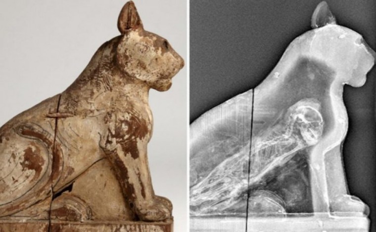 Zbulohet në Egjipt mumia e lashtë e një kafshe të çuditshme