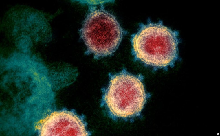 Shkenca shpjegon: Si penetron dhe godet koronavirusi organizmin (video)