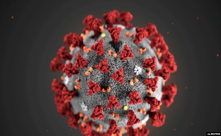 Si të silleni gjatë pandemisë, COVID-19, përditësimet e fundit nga CDC (video)