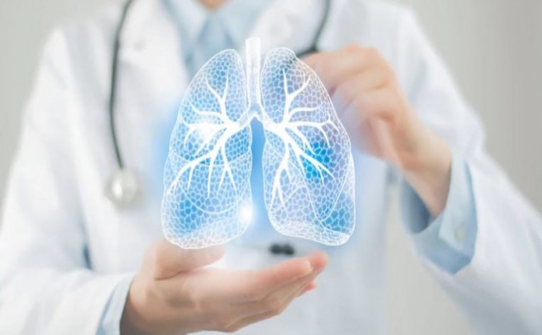 Mushkëritë furnizohen me 9 mijë litra ajër në ditë! – Si funksionon sistemi i frymëmarrjes?