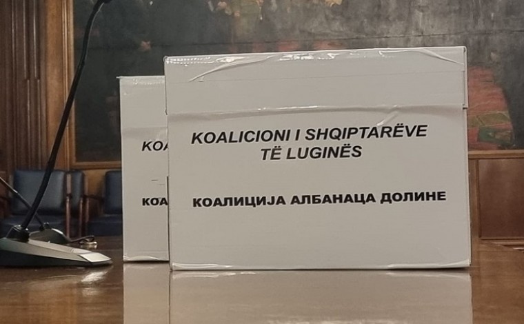 Gjykata aprovon kërkesën e "Koalicionit të Shqiptarëve të Luginës", rivotohet në Tërnoc (vendimi)