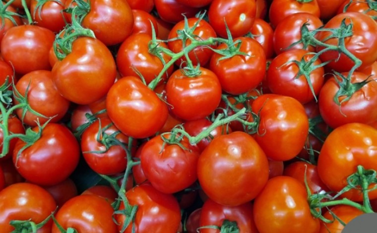 Domatet ndihmojnë për variçet duke i ngrënë, jo mbështjellë këmbët