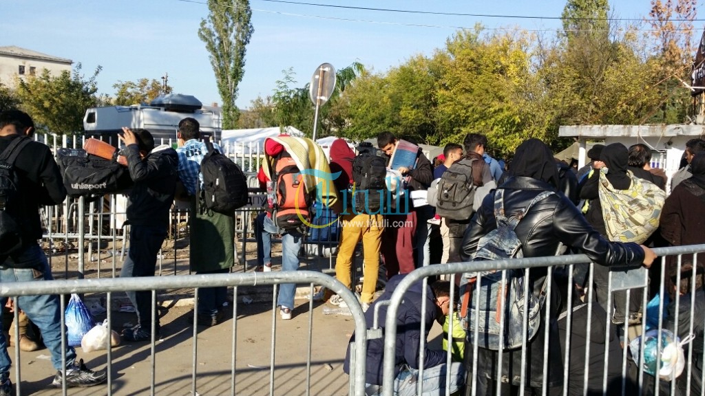 Vazhdojnë ardhjet e refugjatëve në Preshevë (video)
