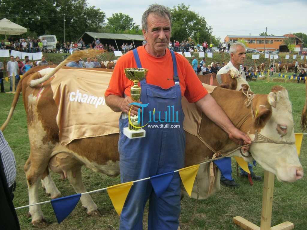 Ekspozita e lopëve mbahet më 30 shtator në Bujanoc