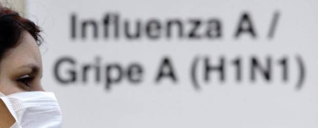 Gripi i derrit mbërrin në Vranjë!?