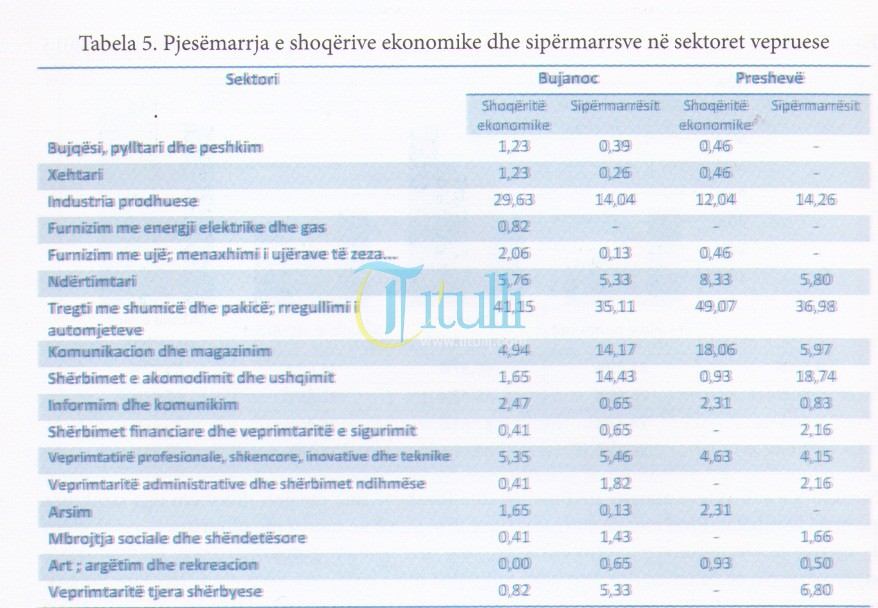 Punësimi në Bujanoc dhe Preshevë në rënie të vazhdueshme, gratë nuk arrin as 20%